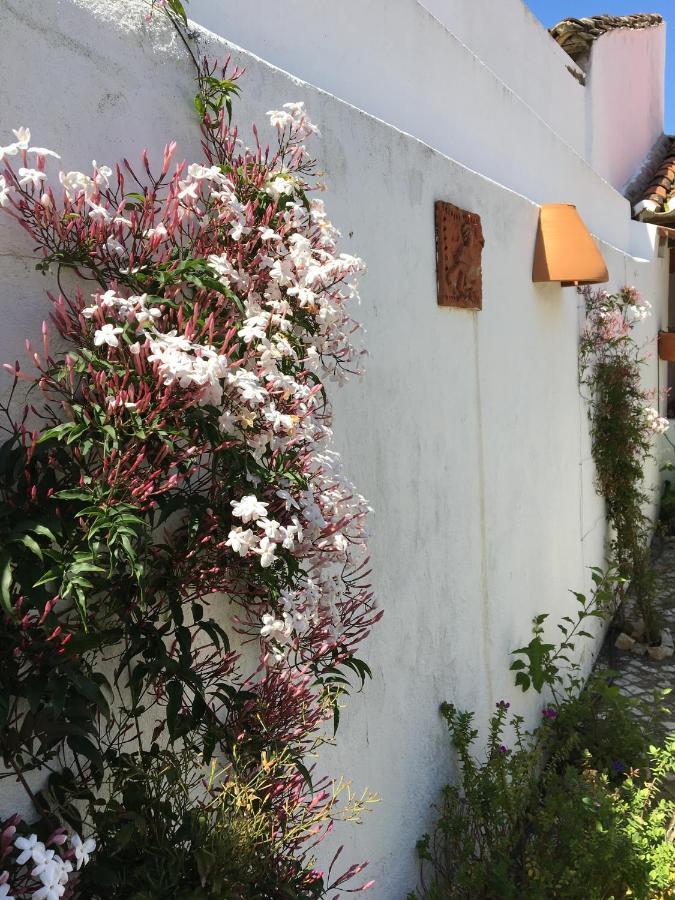 Casa Da Galega Villa Golega Ngoại thất bức ảnh